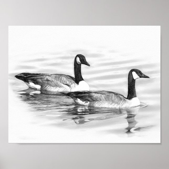Geese on Water Poster (Front)