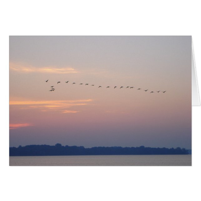 Geese over White Bear Lake (Front Horizontal)