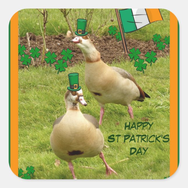 Geese performing a little Irish dancing Square Sticker (Front)