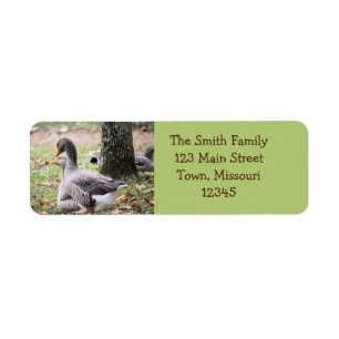 Geese Return Address Label