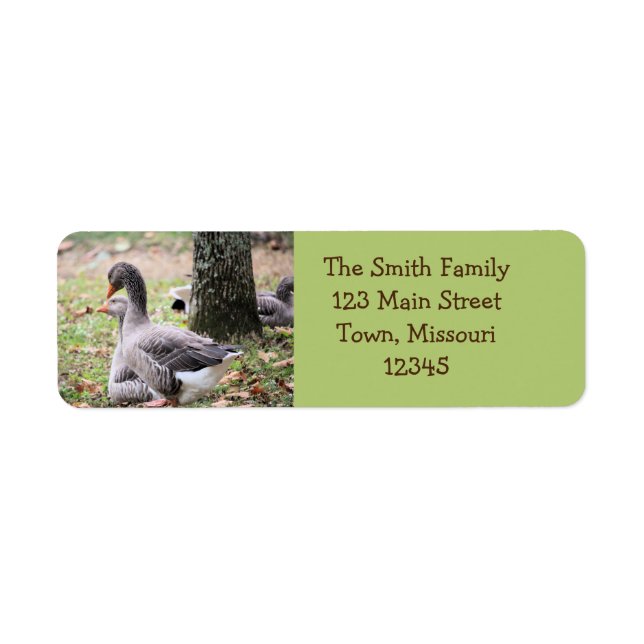 Geese Return Address Label (Front)