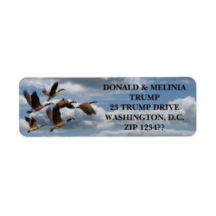 GEESE RETURN ADDRESS LABEL