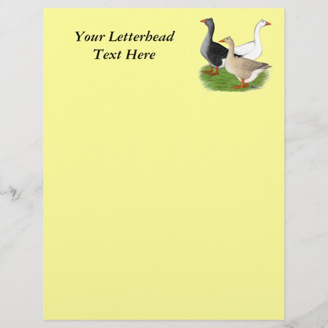 Geese:  Tufted Trio (Front)