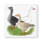 Geese:  Tufted Trio