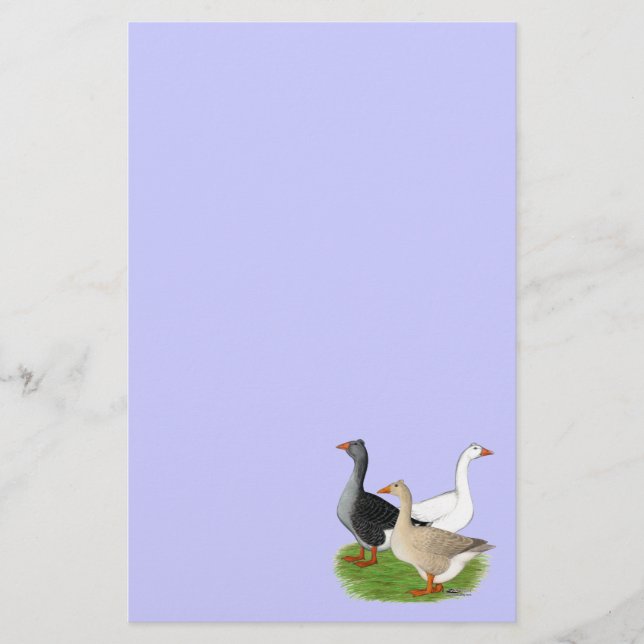 Geese:  Tufted Trio Stationery (Front)