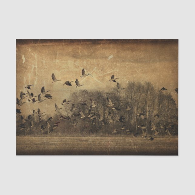 Geese Vintage Antique Sepia Texture Decoupage Tissue Paper (Front)