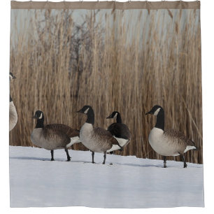 Geese Waterfowl on  Shower Curtain