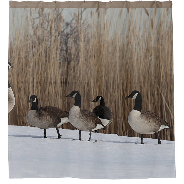 Geese Waterfowl on  Shower Curtain (Front)