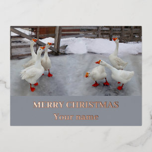 Geese white   foil holiday postcard