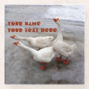 Geese white glass coaster