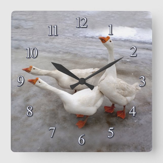 Geese white square wall clock (Front)