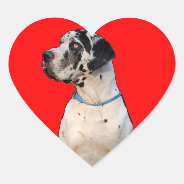 Gefleckte Dogge Heart Sticker (Front)
