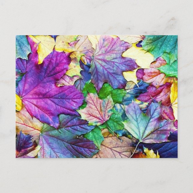 gekleurde blaadjes postcard (Front)