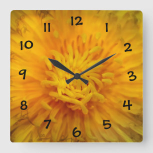 Gelber Löwenzahn Square Wall Clock