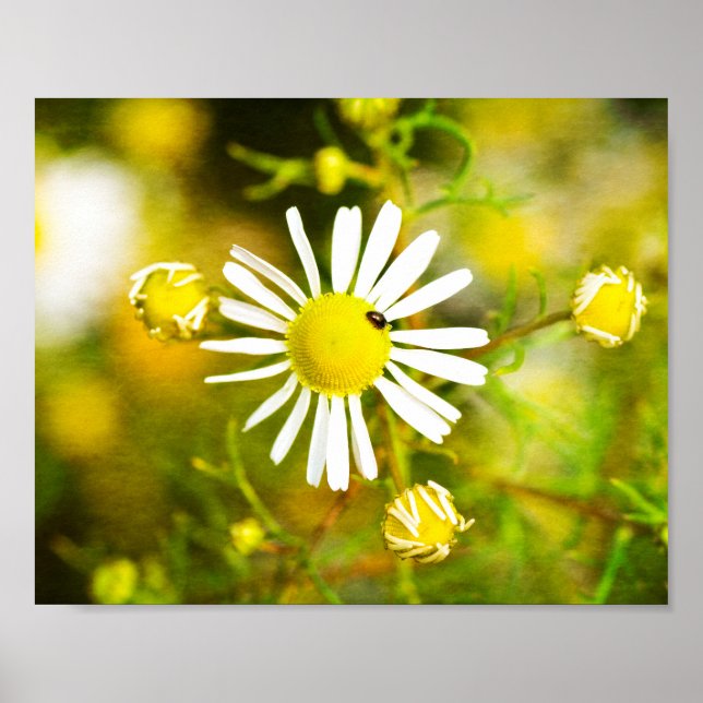 Gelber Traum der Natur Poster (Front)