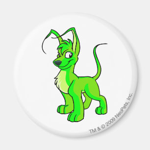 Gelert Glowing Magnet
