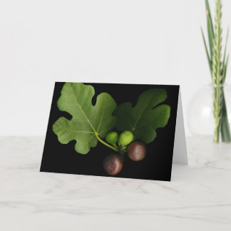 Gelini's Fig Greeting Card