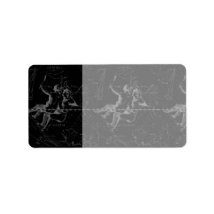 Gemini Constellation Map Engraving by Hevelius Label
