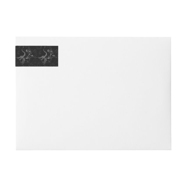 Gemini Constellation Map Engraving by Hevelius Wrap Around Label (Front)