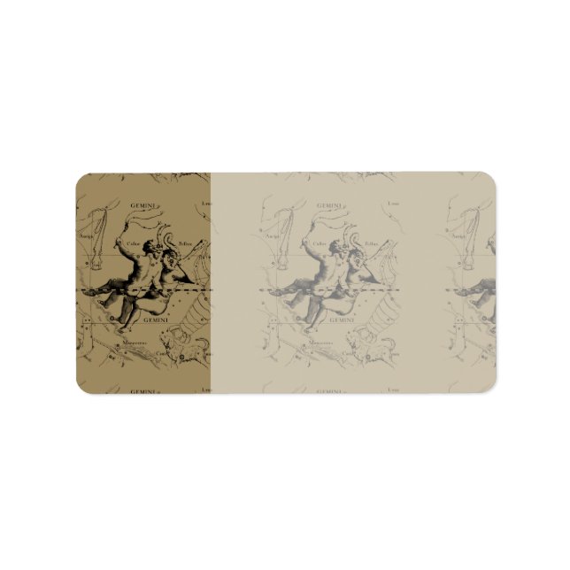 Gemini Constellation Map Hevelius circa 1690 Label (Front)