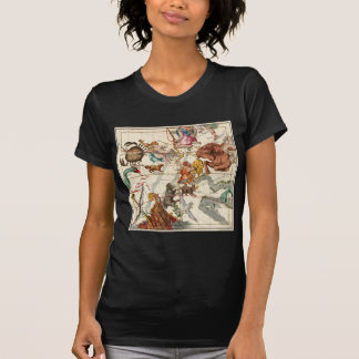 Gemini, Orion, Cancer, Taurus, Canis Major&Minor T-Shirt