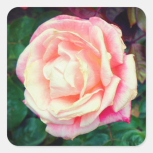 Gemini Rose #1 Stickers