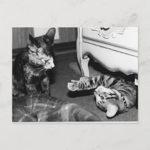 Gemini & Whisper Postcard