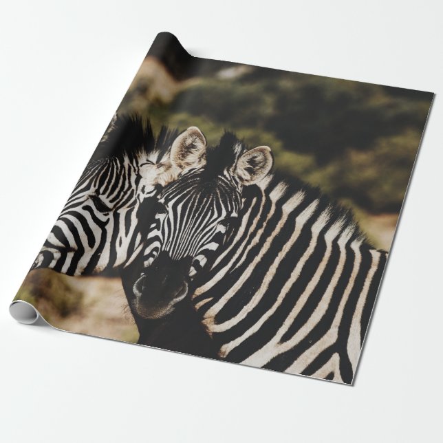 GEMINI WRAPPING PAPER (Unrolled)