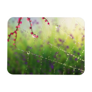 Gems of a Spring Morning Flexible Magnet