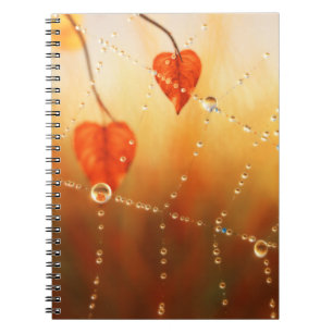 Gems of an Autumn Morning Notebook