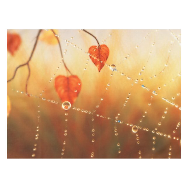 Gems of an Autumn Morning Tablecloth (Front (Horizontal))