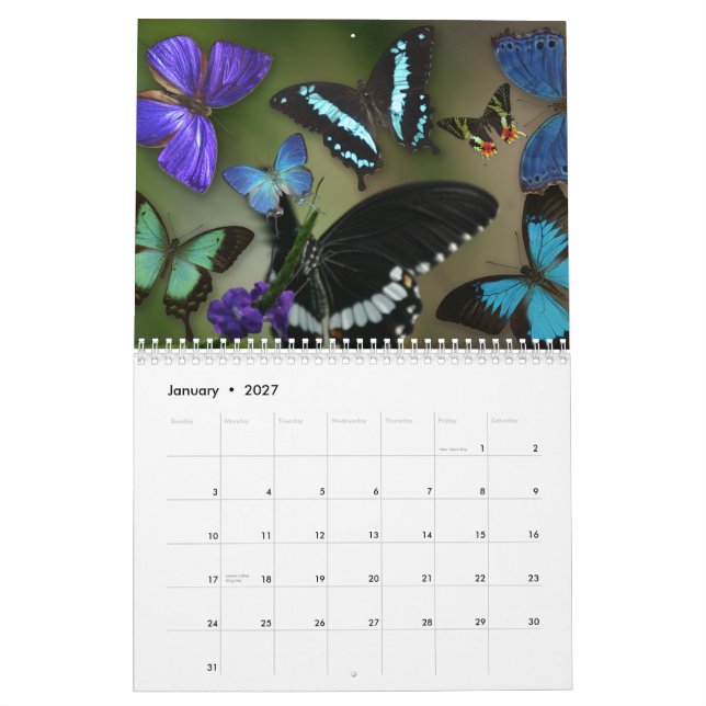 Gems of the Air Calendar (Jan 2027)