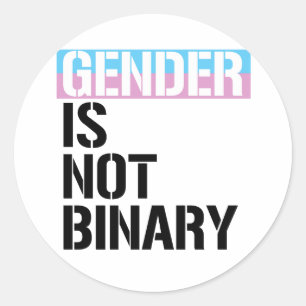 Gender is not Binary Classic Round Sticker