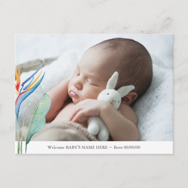 Gender Neutral Tropical Flower Baby Announcement P Postcard (Front)