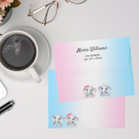 Gender reveal baby shower blue pink elephants