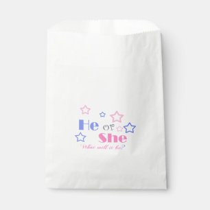 Gender reveal baby shower he or she baby shower favour bag