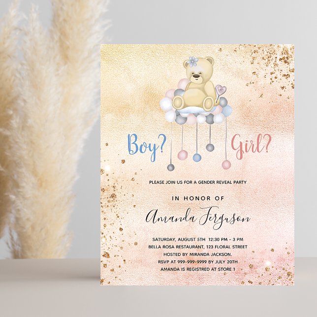 Gender reveal baby shower teddy budget invitation flyer (Creator Uploaded)