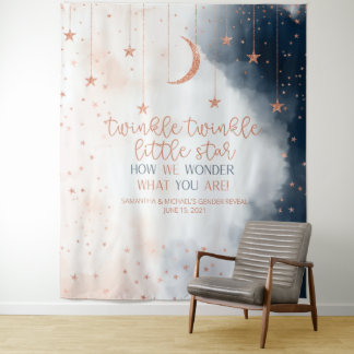Gender Reveal Backdrop, Twinkle Little Star Banner Tapestry