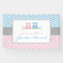 Gender Reveal Banner-Blue & Pink Owl