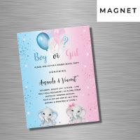 Gender reveal blue pink boy girl elephants luxury
