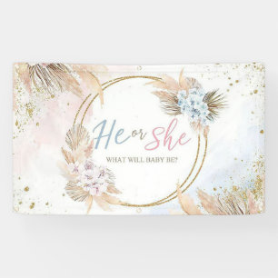 Gender Reveal Boy or Girl Blue Pink Ballons Banner