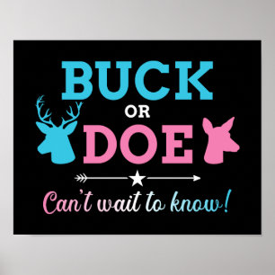 Gender reveal buck doe can't wait know baby party poster