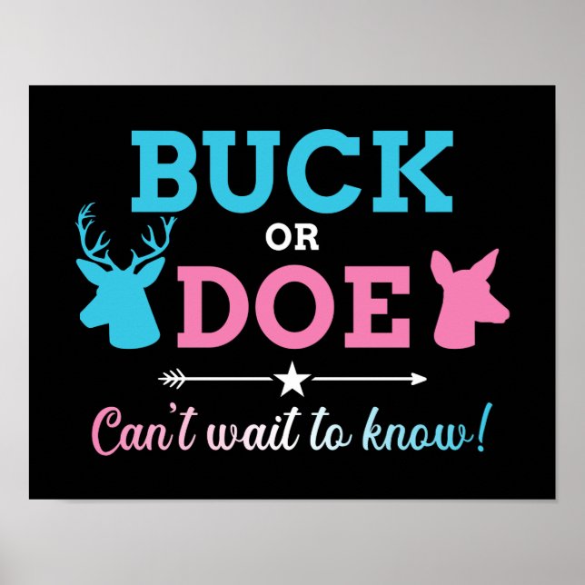 Gender reveal buck doe can't wait know baby party poster (Front)