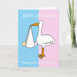 Gender Reveal Gender Reveal Party Invitation