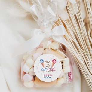 Gender Reveal Ice Cream Scoop Classic Round Sticker