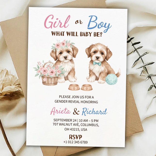 Gender reveal invitation featuring two puppies (Creator Uploaded)