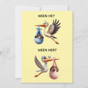 GENDER REVEAL PARTY INVITATION