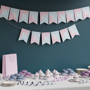 Gender Reveal Pink and Blue Baby Shower Bunting