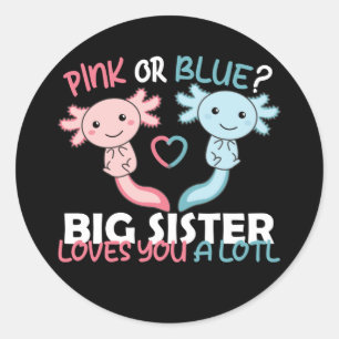 gender reveal pink or blue Big Sister loves you Cl Classic Round Sticker