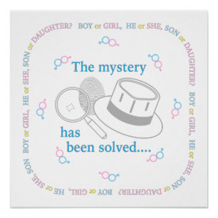 Gender Reveal Poster